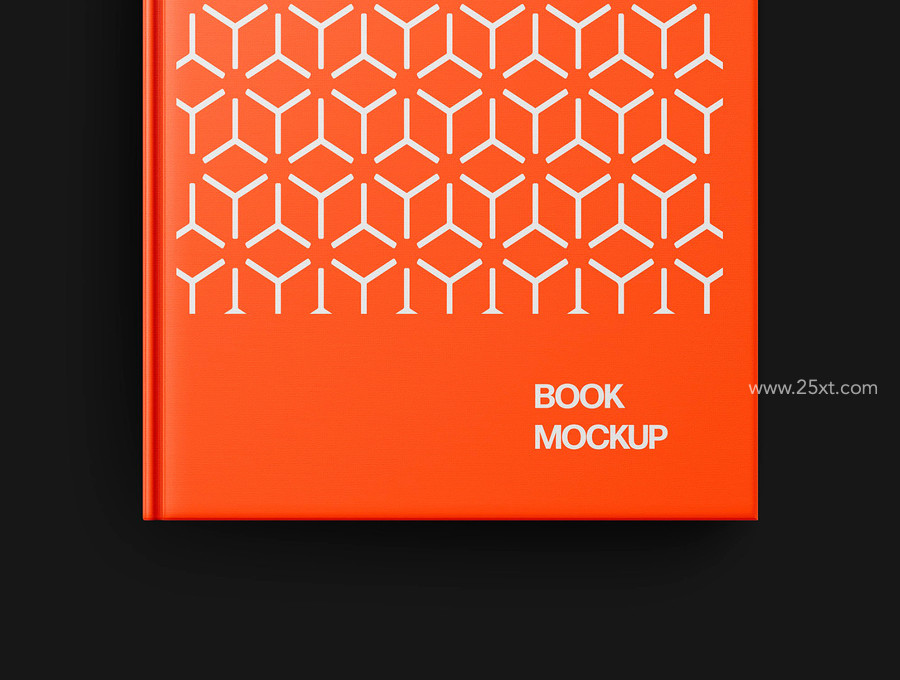 25xt-176104-Book Mockup Scenes8.jpg