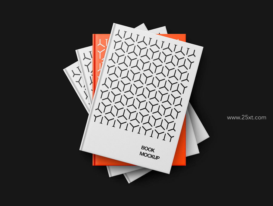 25xt-176104-Book Mockup Scenes4.jpg
