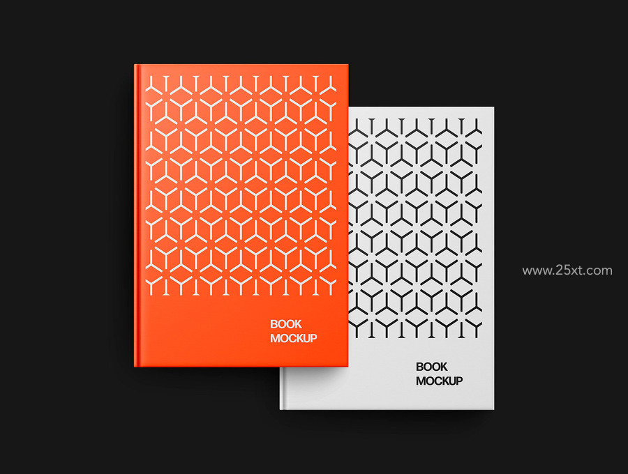 25xt-176104-Book Mockup Scenes5.jpg