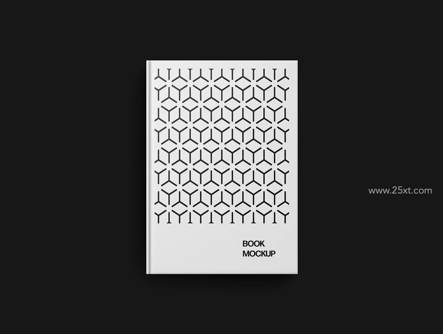 25xt-176104-Book Mockup Scenes2.jpg