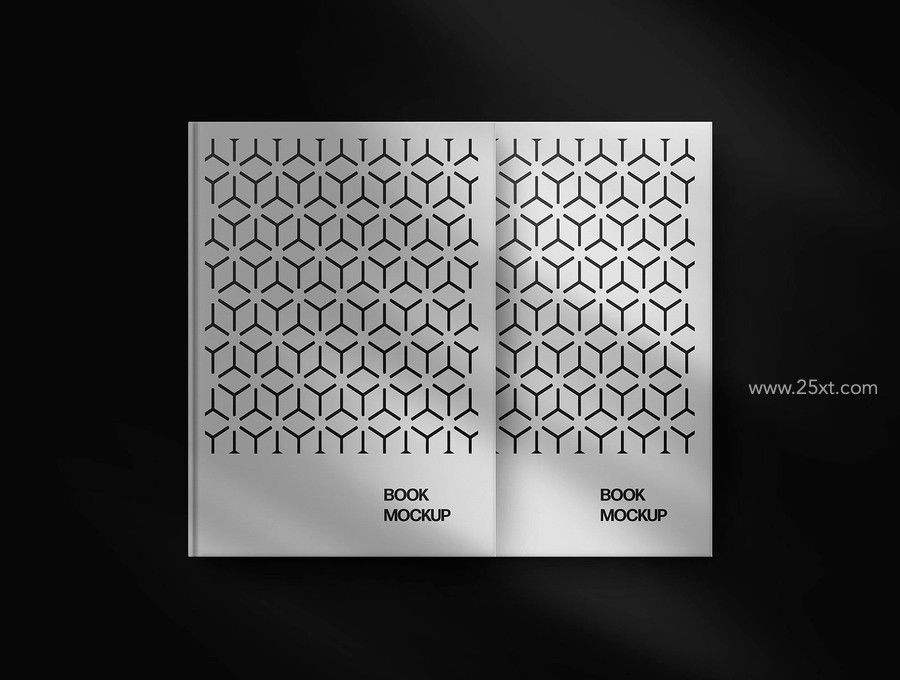 25xt-176104-Book Mockup Scenes3.jpg