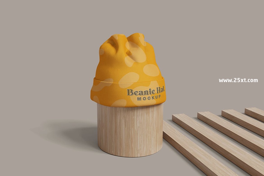 25xt-176118-Beanie Hat Mockup_5.jpg