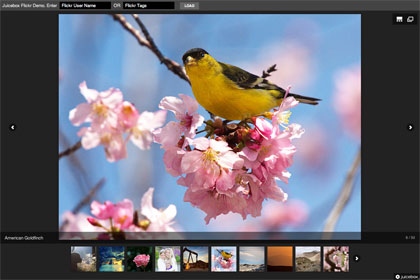 lite-flickr