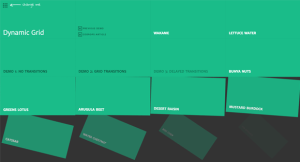 DynamicGrid