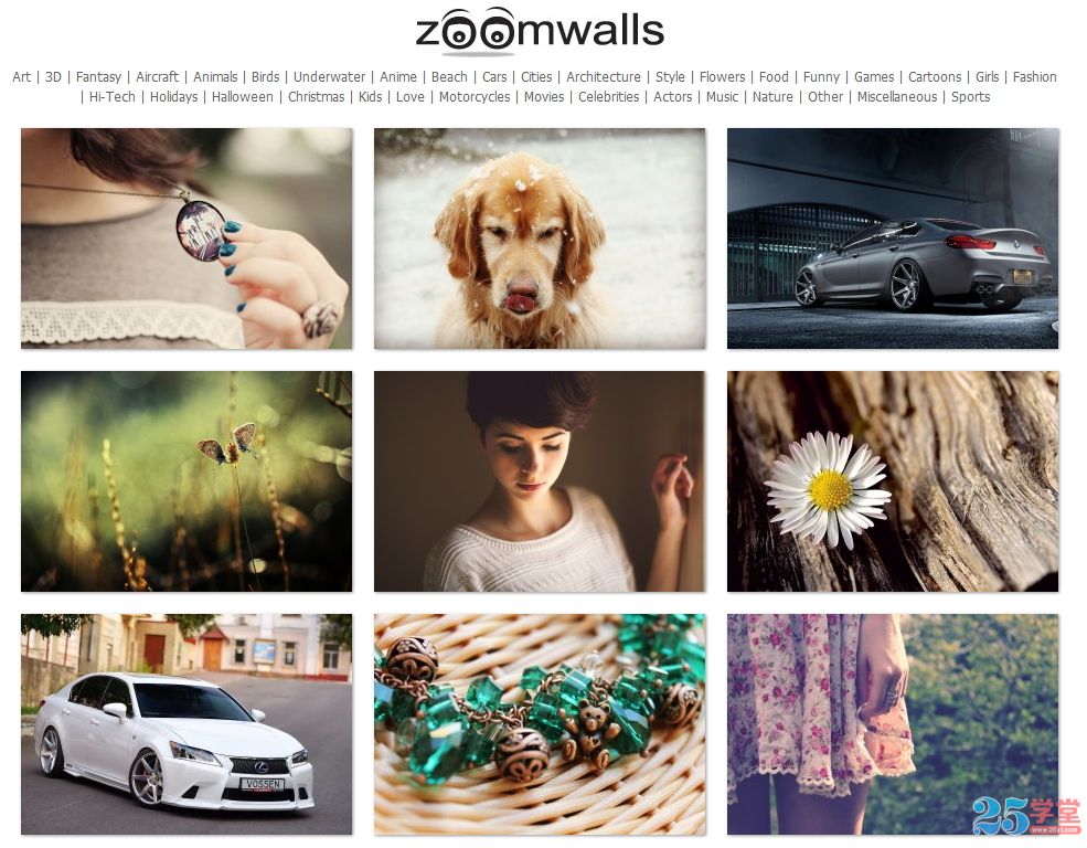 Zoomwalls
