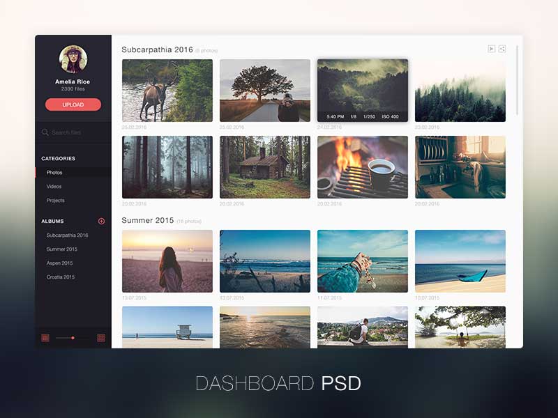 dribbble_shot
