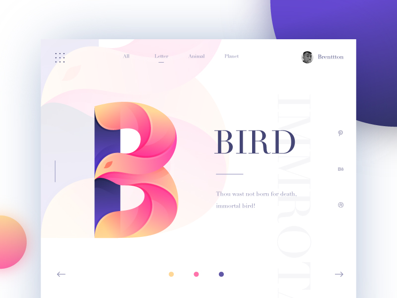 b_bird