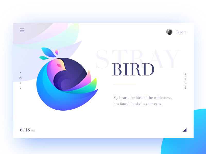 bird